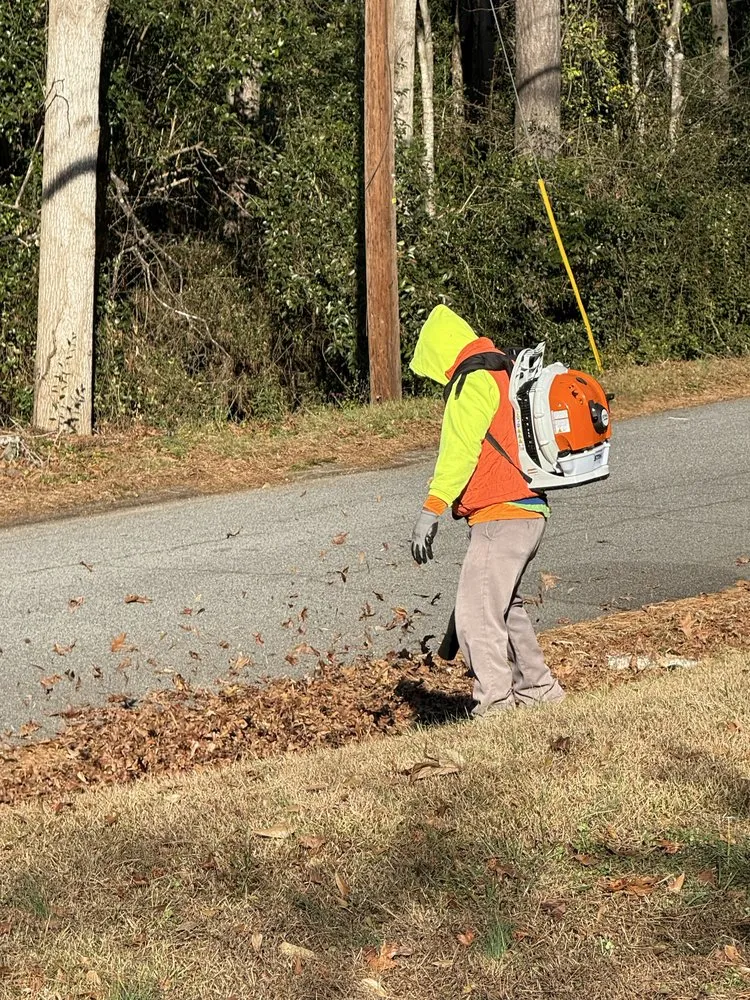 Local landscape installation in Mill Spring, NC - A Better Way Tree Service