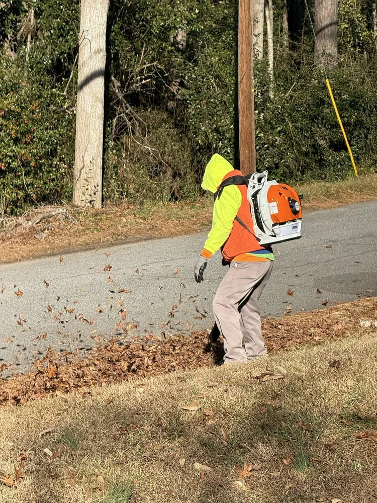 Affordable residential landscaping in Mill Spring, NC - A Better Way Tree Service
