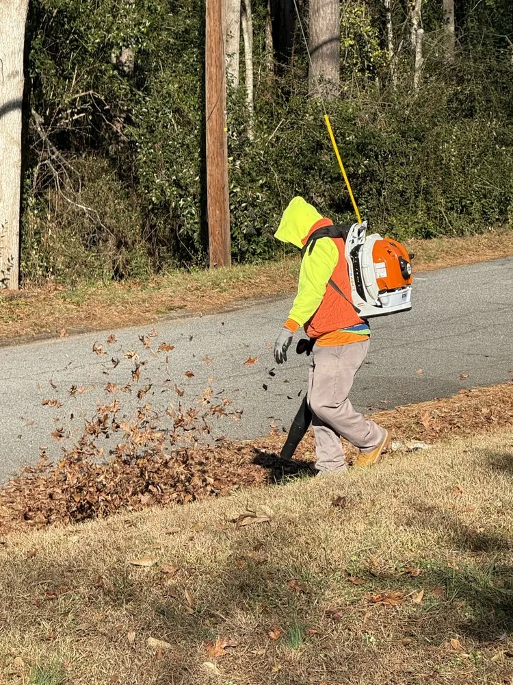 Reliable lawn care service experts serving Mill Spring, NC - A Better Way Tree Service