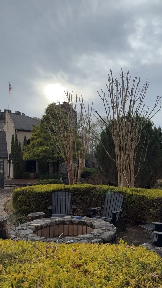 Expert yard maintenance for year-round maintenance in Mill Spring, NC by A Better Way Tree Service
