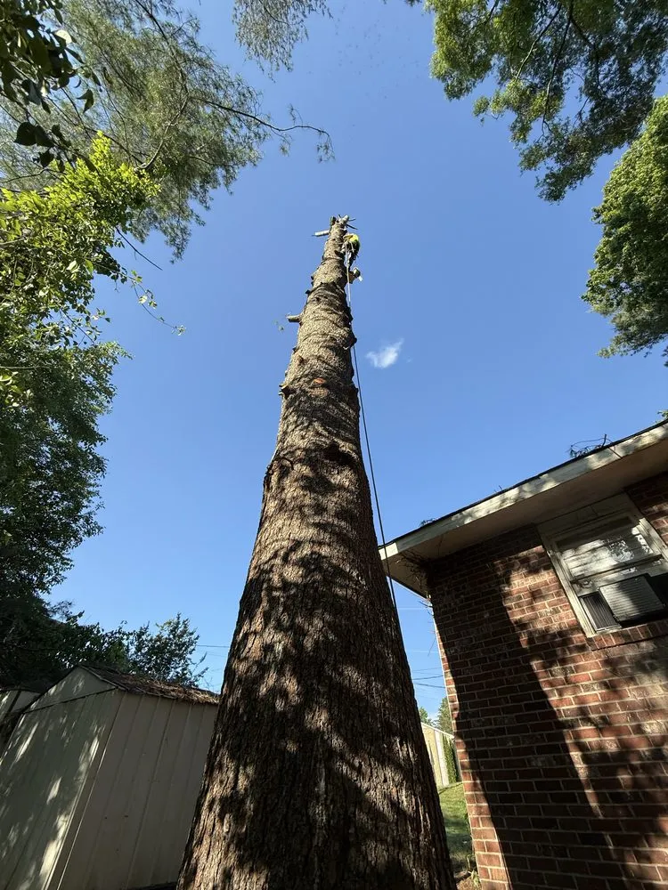Reliable landscape installation experts serving Mill Spring, NC - A Better Way Tree Service
