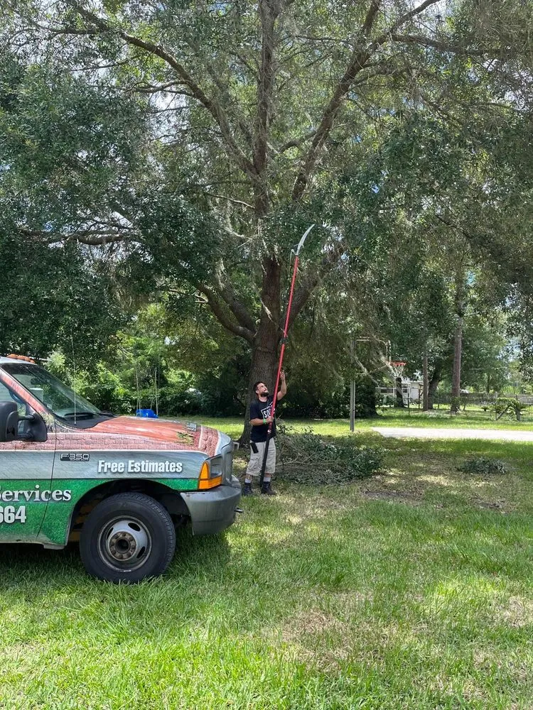 Local yard maintenance with custom design in Alachua, FL by A+ Bhakti Services