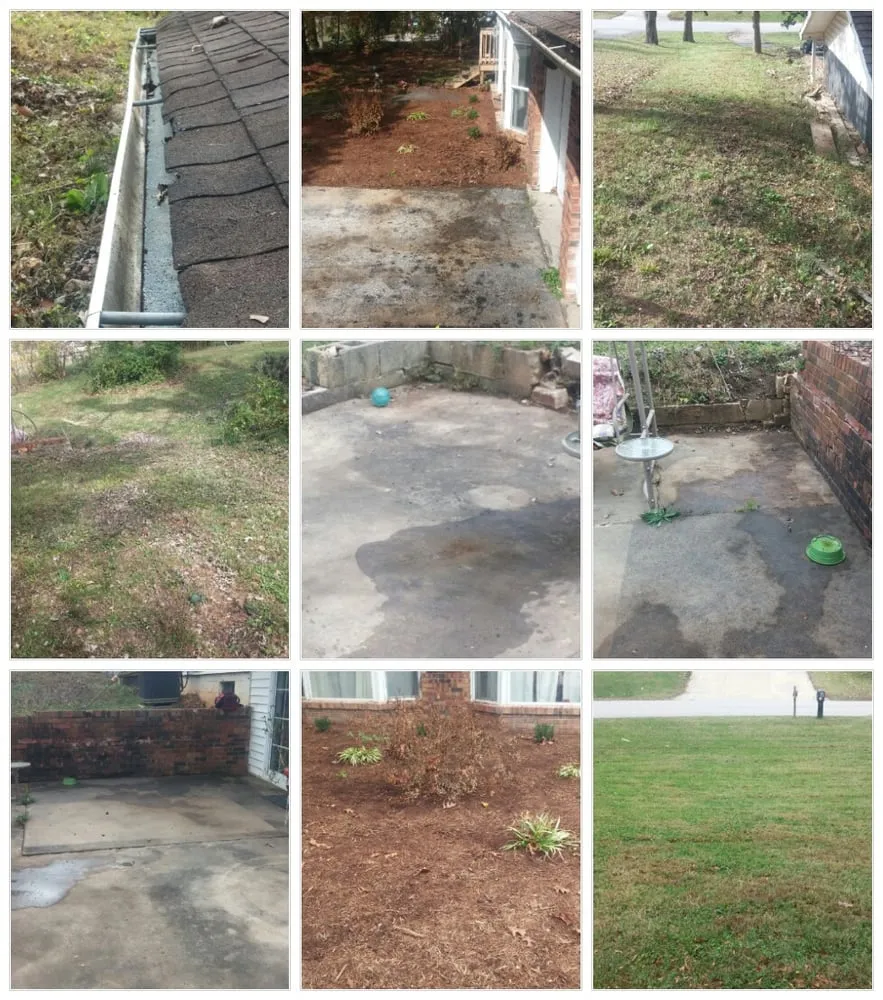 Professional yard cleanup service in Ozark, MO - A Blade Above the Rest