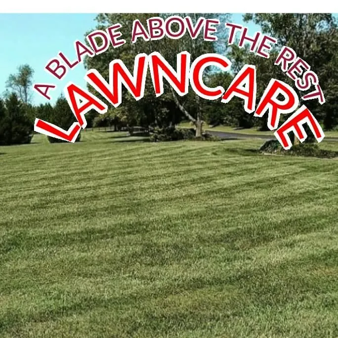 Local lawn care service experts serving Ozark, MO - A Blade Above the Rest