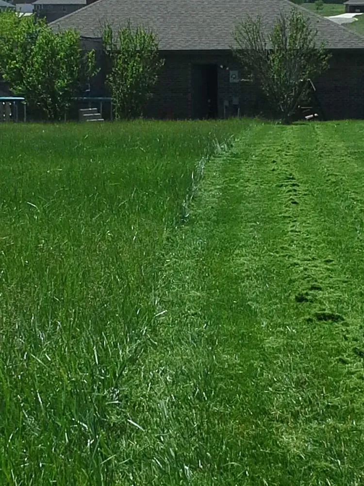 Top-rated residential landscaping for year-round maintenance in Ozark, MO by A Blade Above the Rest