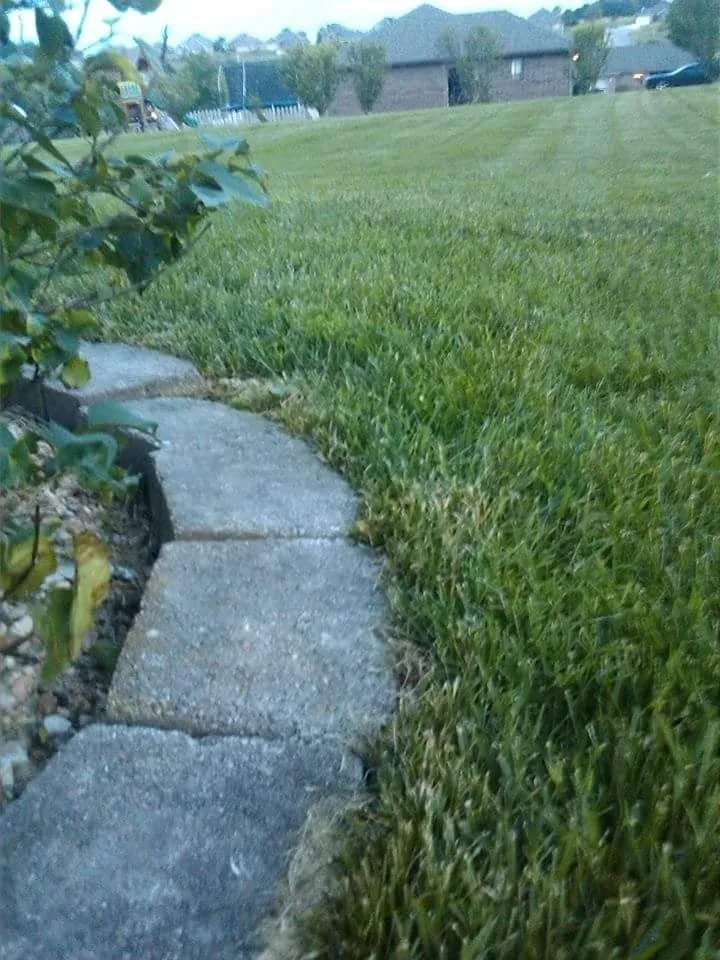 Custom landscaping services in Ozark, MO by A Blade Above the Rest