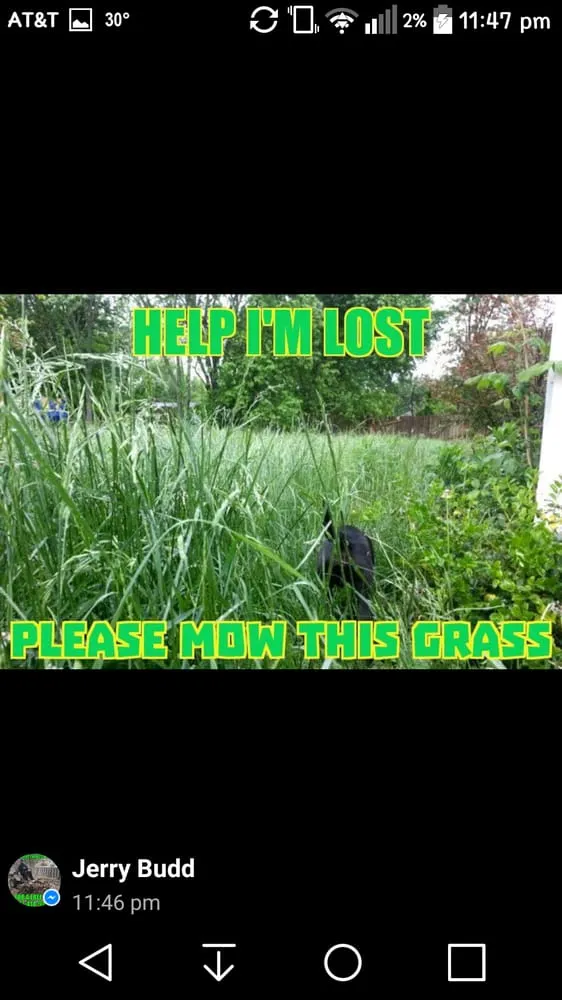 Custom lawn care service in Ozark, MO by A Blade Above the Rest