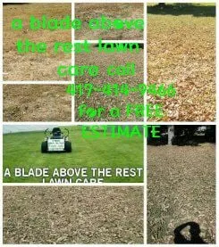 Expert yard maintenance experts serving Ozark, MO - A Blade Above the Rest
