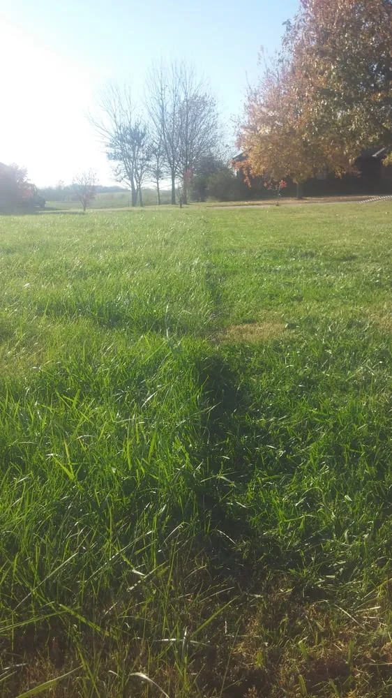 Local lawn mowing service in Ozark, MO by A Blade Above the Rest