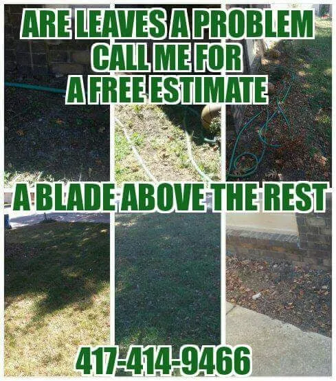 Professional lawn mowing service in Ozark, MO - A Blade Above the Rest