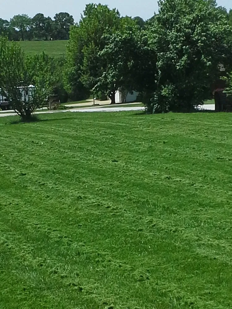 Affordable yard cleanup service for beautiful yards in Ozark, MO by A Blade Above the Rest