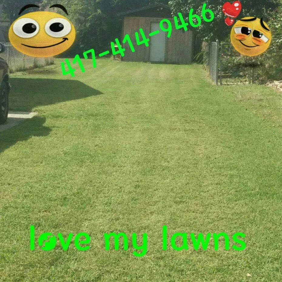 Professional residential landscaping for residential properties in Ozark, MO by A Blade Above the Rest