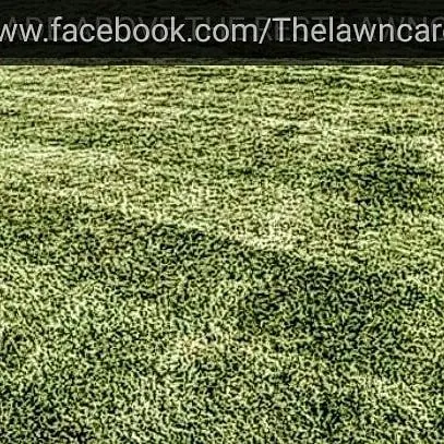 Professional landscaping services near you in Ozark, MO by A Blade Above the Rest