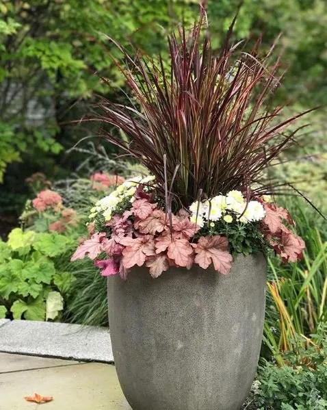 Top-rated garden landscaping in Waltham, MA - A Bonadio & Sons