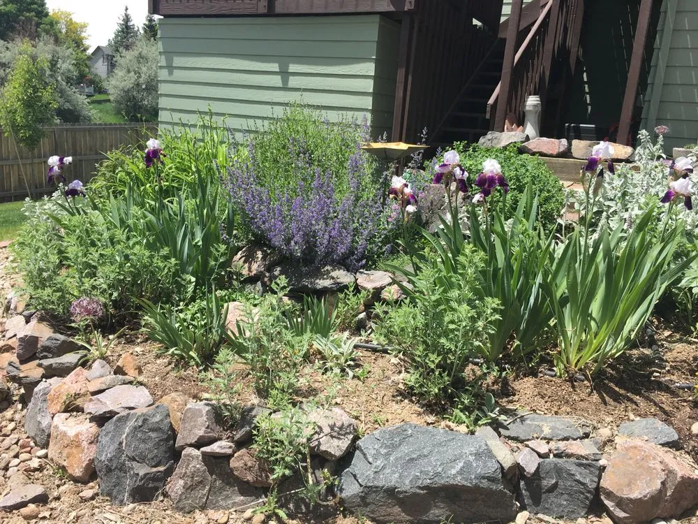 Local yard cleanup service experts serving Boulder, CO - A Boulder Gardener