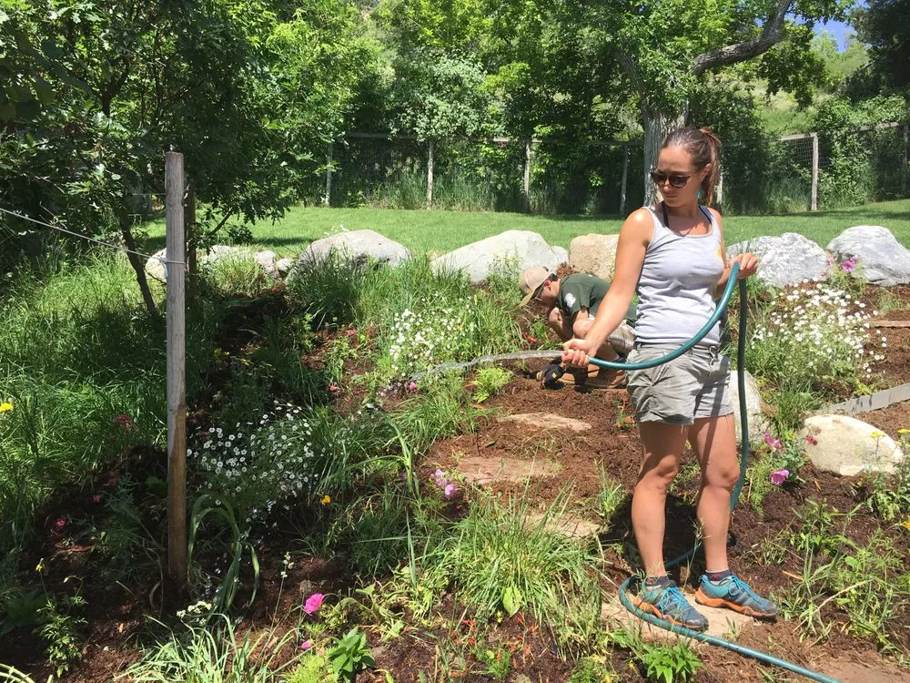 Local residential landscaping in Boulder, CO by A Boulder Gardener