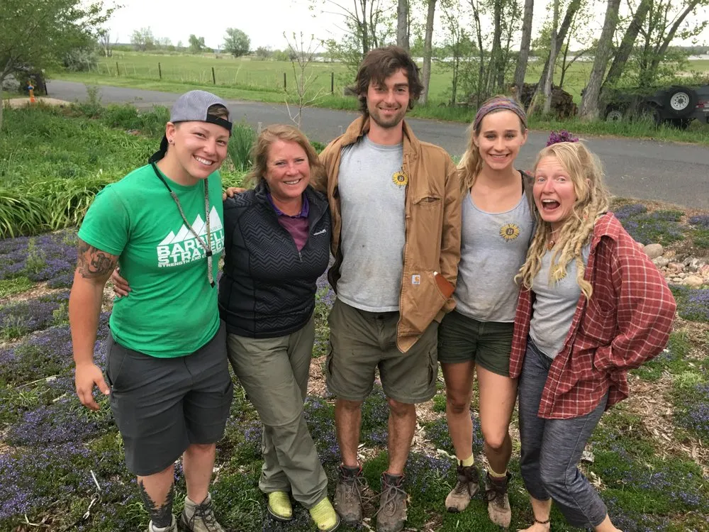 Local yard maintenance experts serving Boulder, CO - A Boulder Gardener