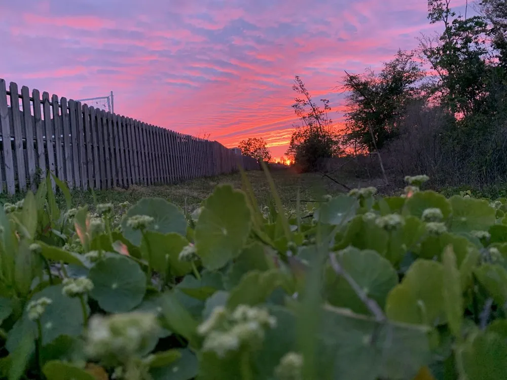 Expert garden landscaping experts serving Panama City, FL - A Boy and His Mower