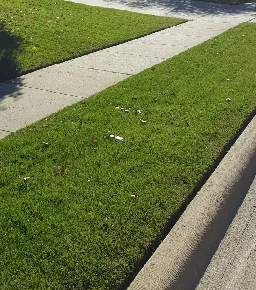 Custom residential landscaping for homes across Waxahachie, TX - A Boy and His Mower