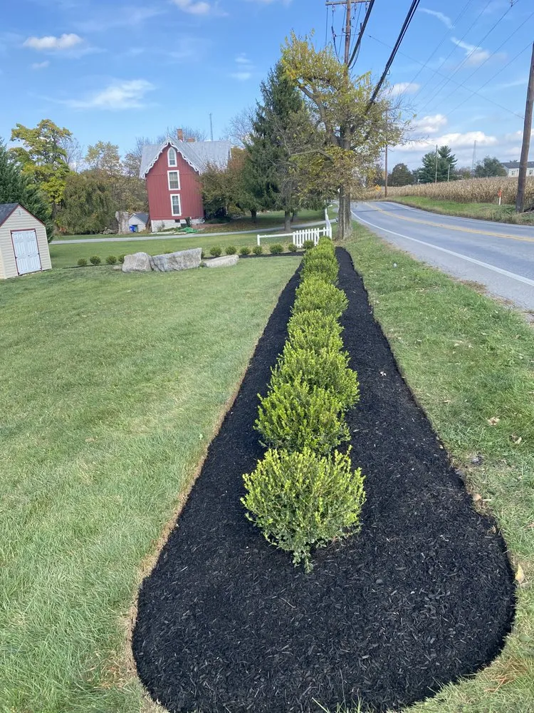 Professional yard cleanup service experts serving Carlisle, PA - A Brand New Leaf Landscaping