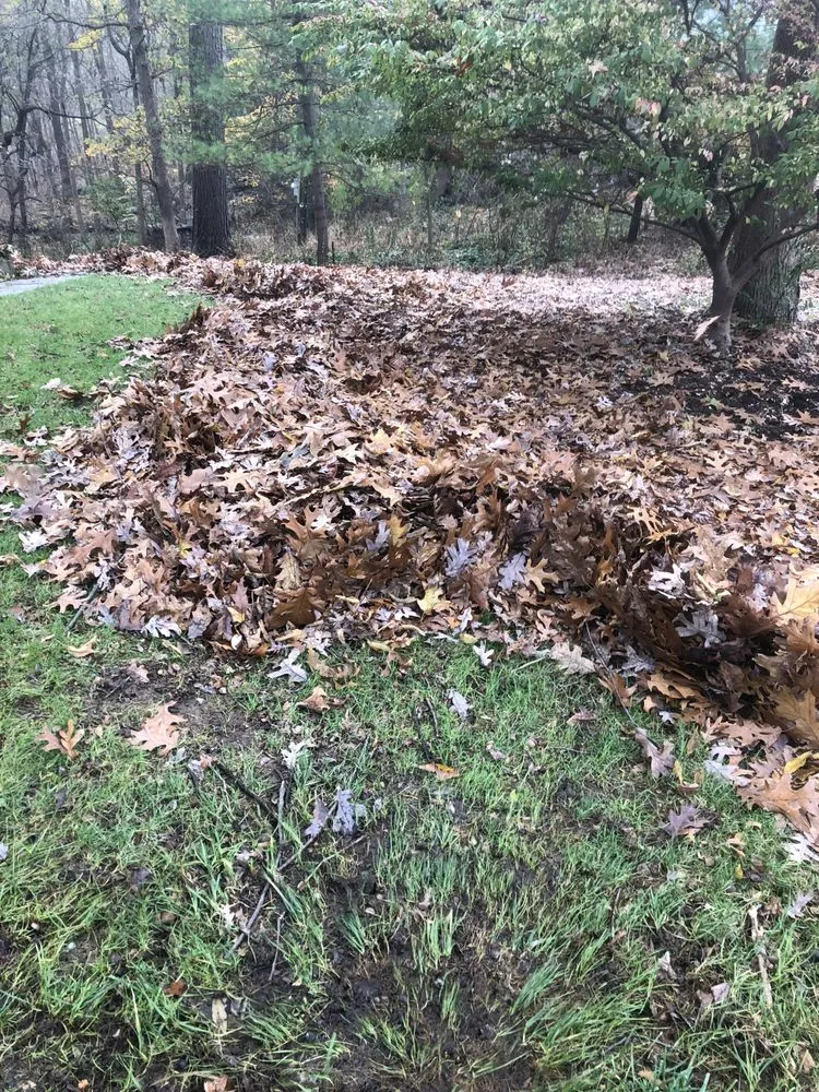 Affordable lawn mowing service in Carlisle, PA by A Brand New Leaf Landscaping