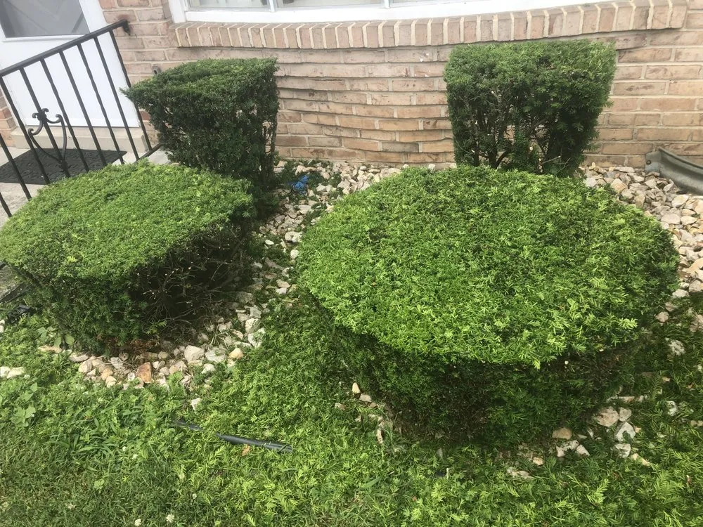 Top-rated yard cleanup service experts serving Carlisle, PA - A Brand New Leaf Landscaping