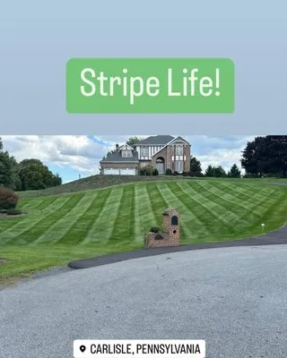 A Brand New Leaf Landscaping Logo