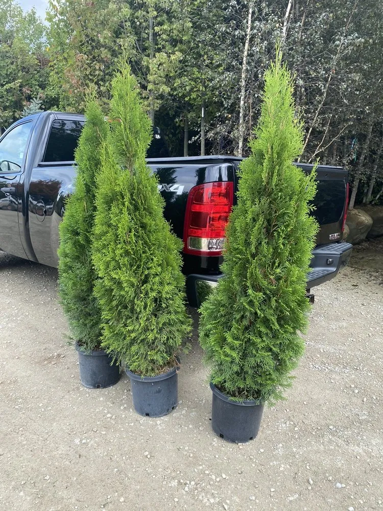 Trusted residential landscaping experts serving Brookville, OH - A Brown & Sons Nursery