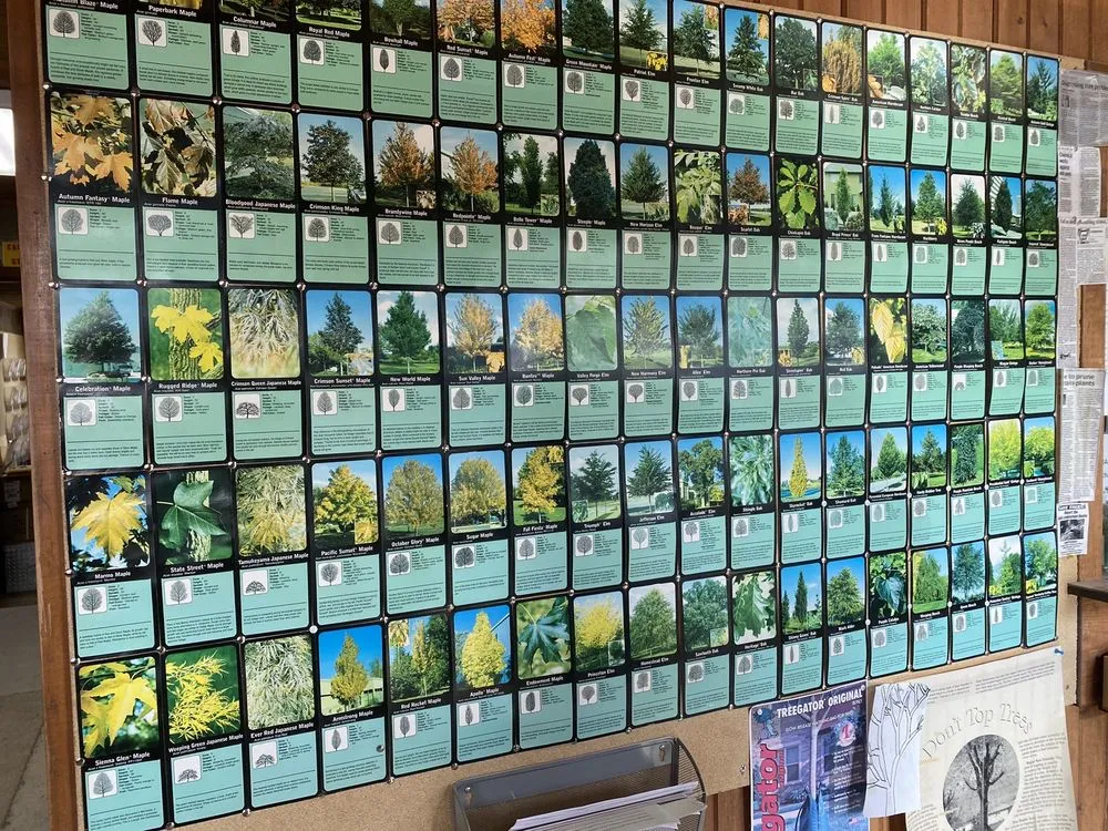 Professional yard maintenance experts serving Brookville, OH - A Brown & Sons Nursery