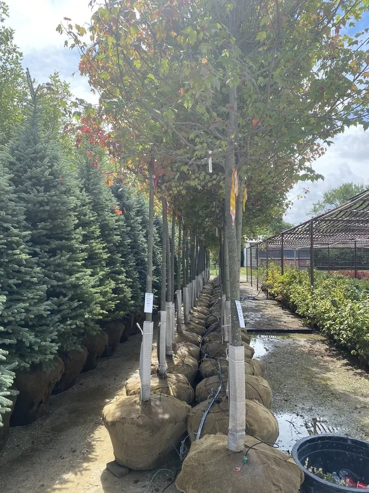 Reliable residential landscaping in Brookville, OH by A Brown & Sons Nursery