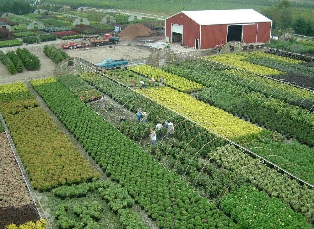 Professional yard maintenance experts serving Brookville, OH - A Brown & Sons Nursery