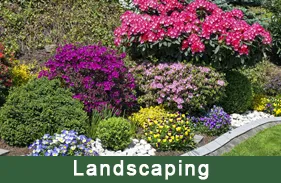 A Bruno & Son Landscaping & Design Logo