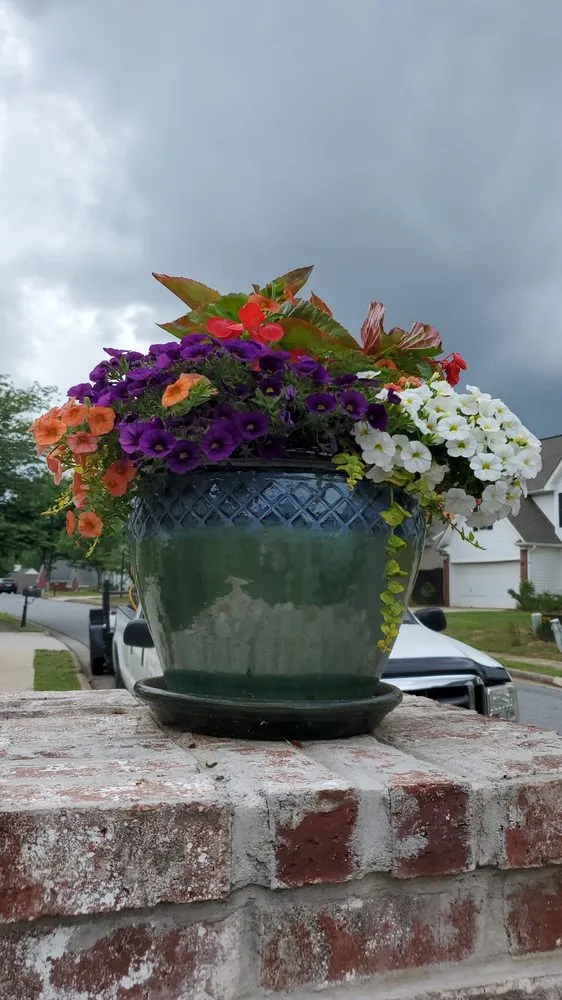 Expert yard cleanup service experts serving Norcross, GA - A Burst of Color