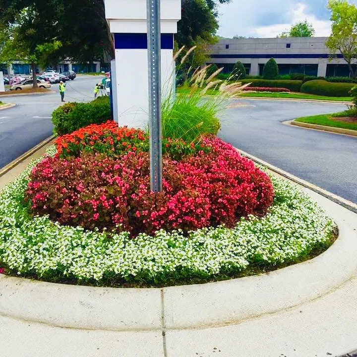 Reliable outdoor landscaping experts serving Norcross, GA - A Burst of Color