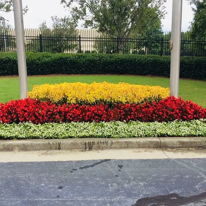 Trusted yard cleanup service experts serving Norcross, GA - A Burst of Color