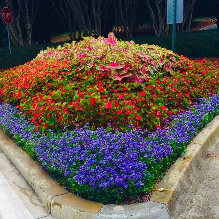 Expert lawn care service for outdoor upgrades in Norcross, GA by A Burst of Color