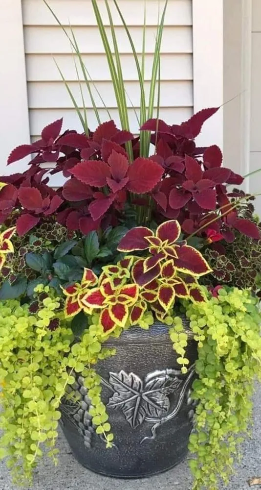 Custom landscape installation experts serving Norcross, GA - A Burst of Color