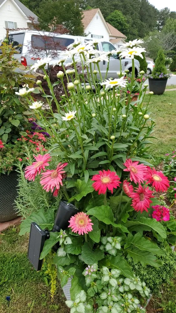 Professional outdoor landscaping for year-round maintenance in Norcross, GA by A Burst of Color