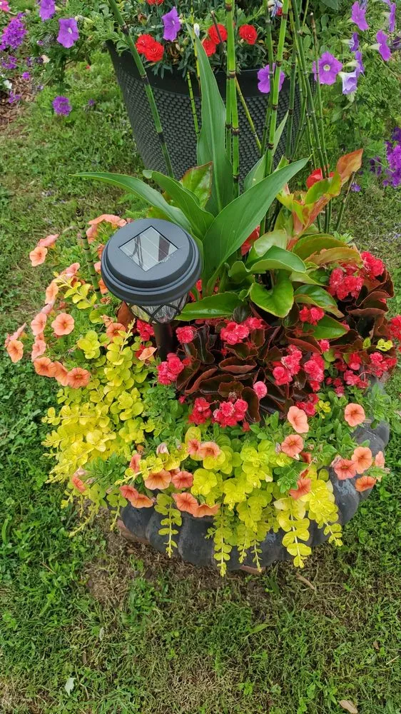 Reliable residential landscaping experts serving Norcross, GA - A Burst of Color