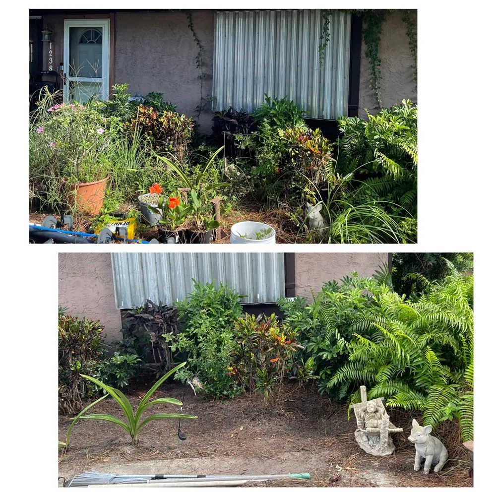 Professional garden landscaping in Titusville, FL - A Busy Bee’s Landscaping