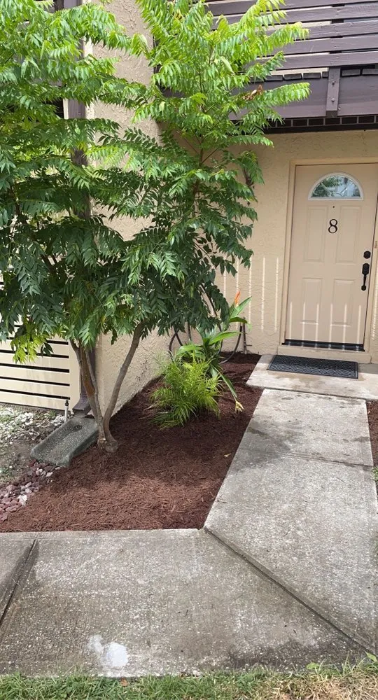 Professional residential landscaping experts serving Titusville, FL - A Busy Bee’s Landscaping