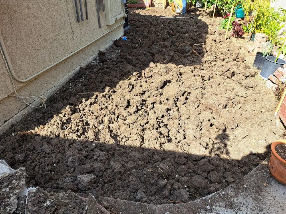 Professional yard cleanup service in Wilmington, CA by A C Brothers Landscape