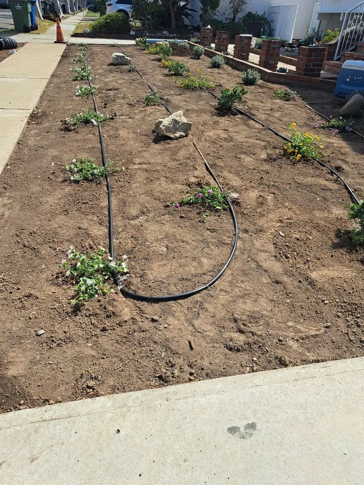 Reliable landscape design near you across Wilmington, CA - A C Brothers Landscape