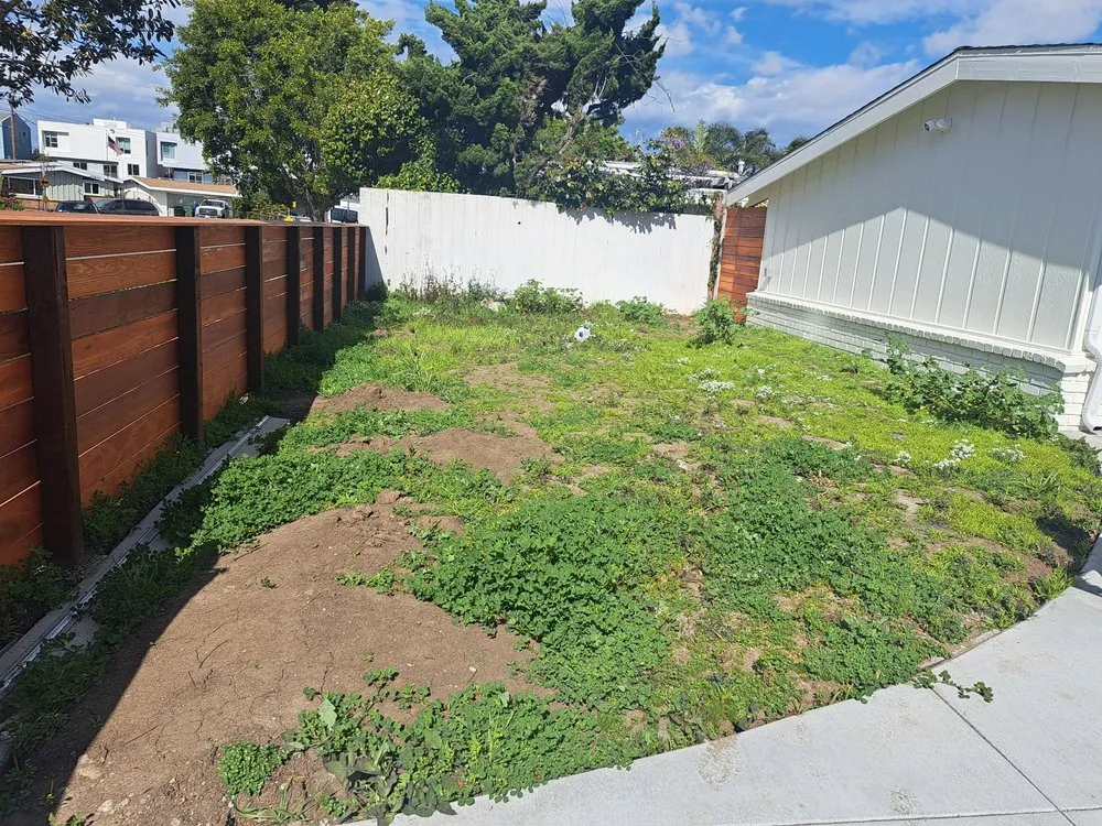 Custom yard maintenance for homes in Wilmington, CA by A C Brothers Landscape