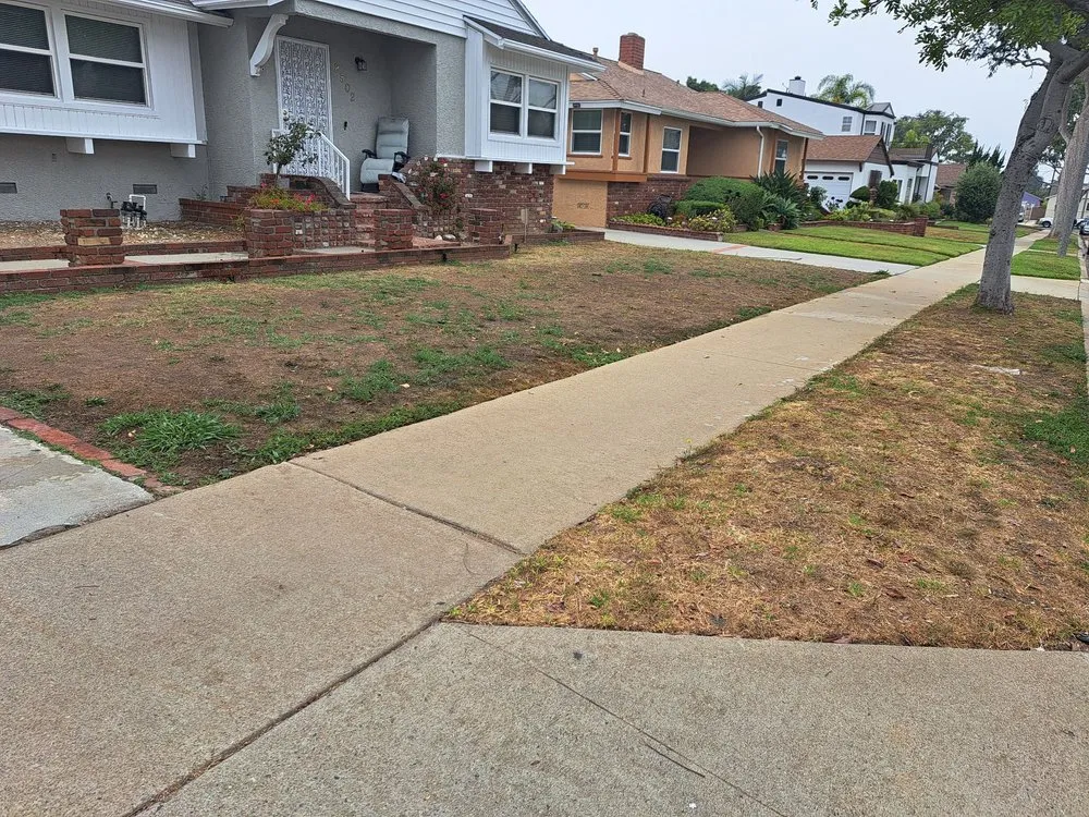 Top-rated outdoor landscaping experts serving Wilmington, CA - A C Brothers Landscape