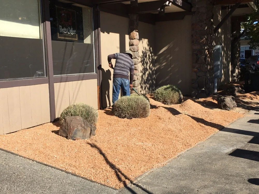 Professional landscape installation in Novato, CA - A C Services & Maintenance