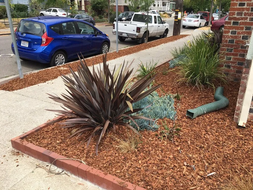 Reliable yard cleanup service for outdoor upgrades in Novato, CA by A C Services & Maintenance