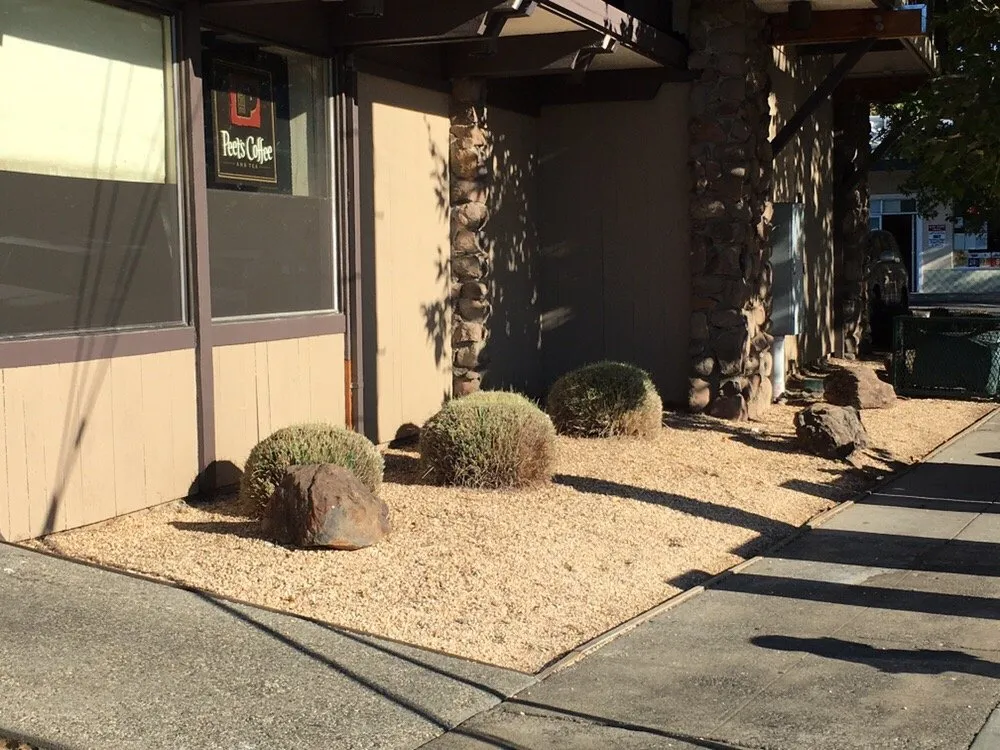 Professional lawn mowing service in Novato, CA - A C Services & Maintenance