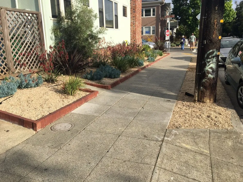 Reliable lawn mowing service in Novato, CA by A C Services & Maintenance