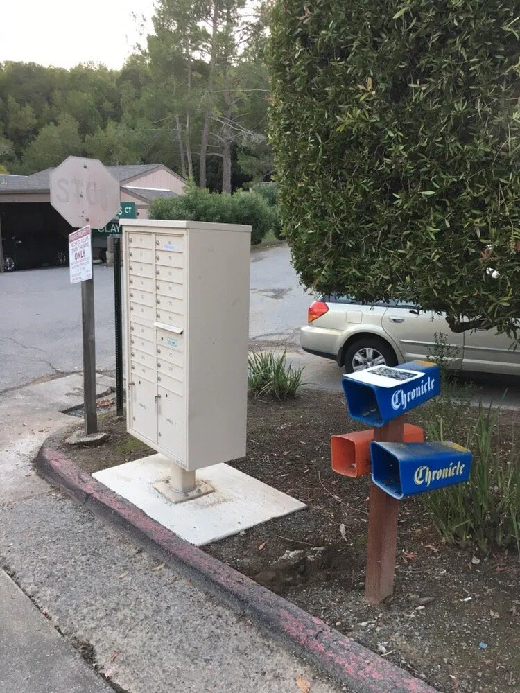 Custom landscaping services experts serving Novato, CA - A C Services & Maintenance